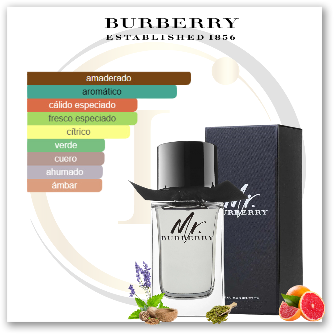 Burberry Mr. Burberry EDT - Imagen 2