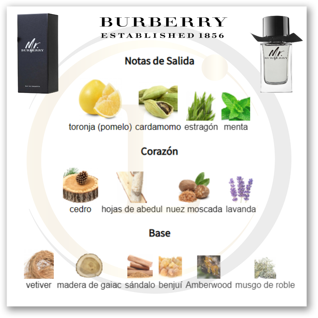 Burberry Mr. Burberry EDT - Imagen 3