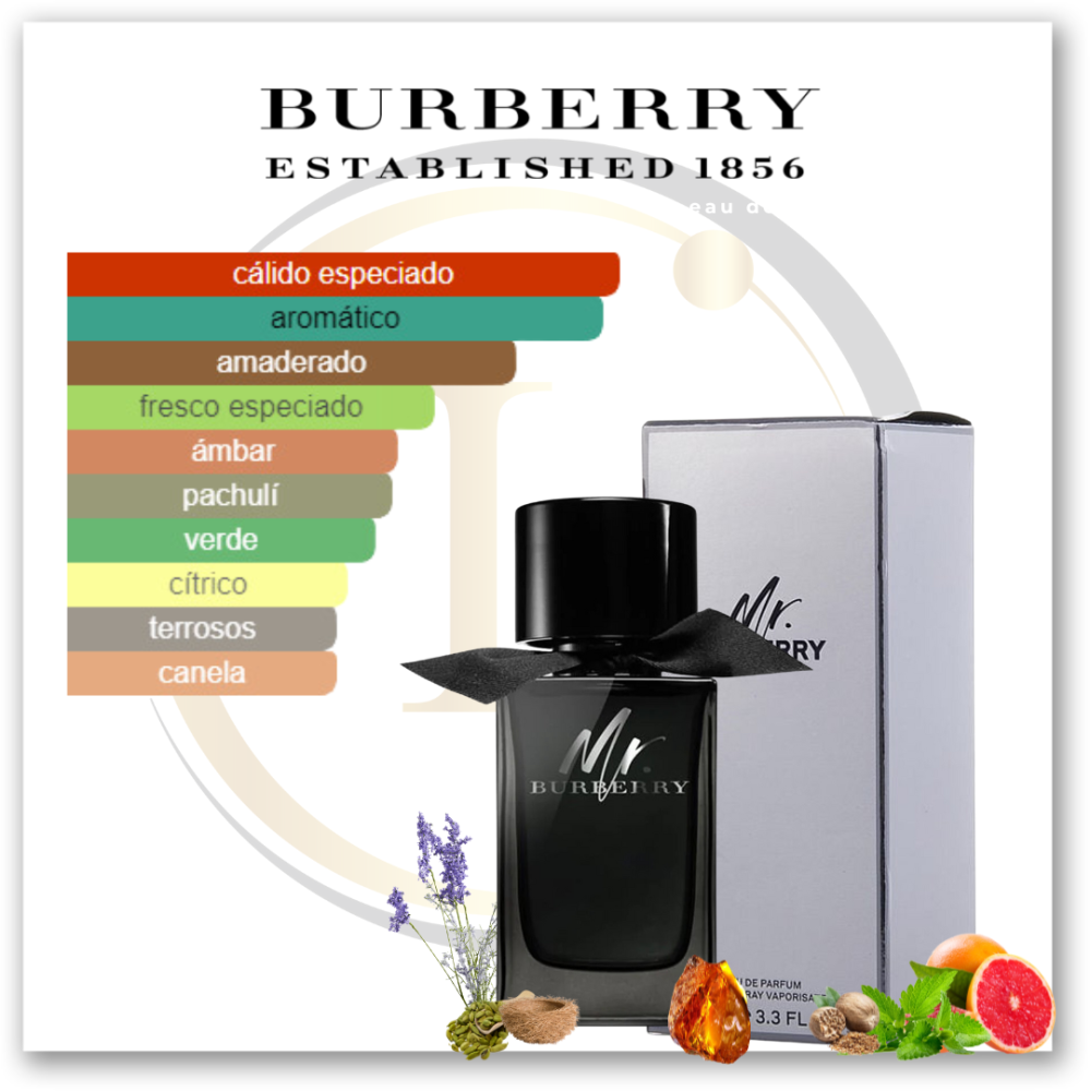 Burberry Mr. Burberry EDP - Imagen 2