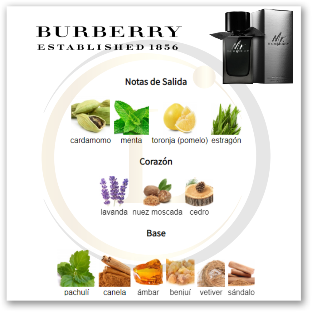 Burberry Mr. Burberry EDP - Imagen 3