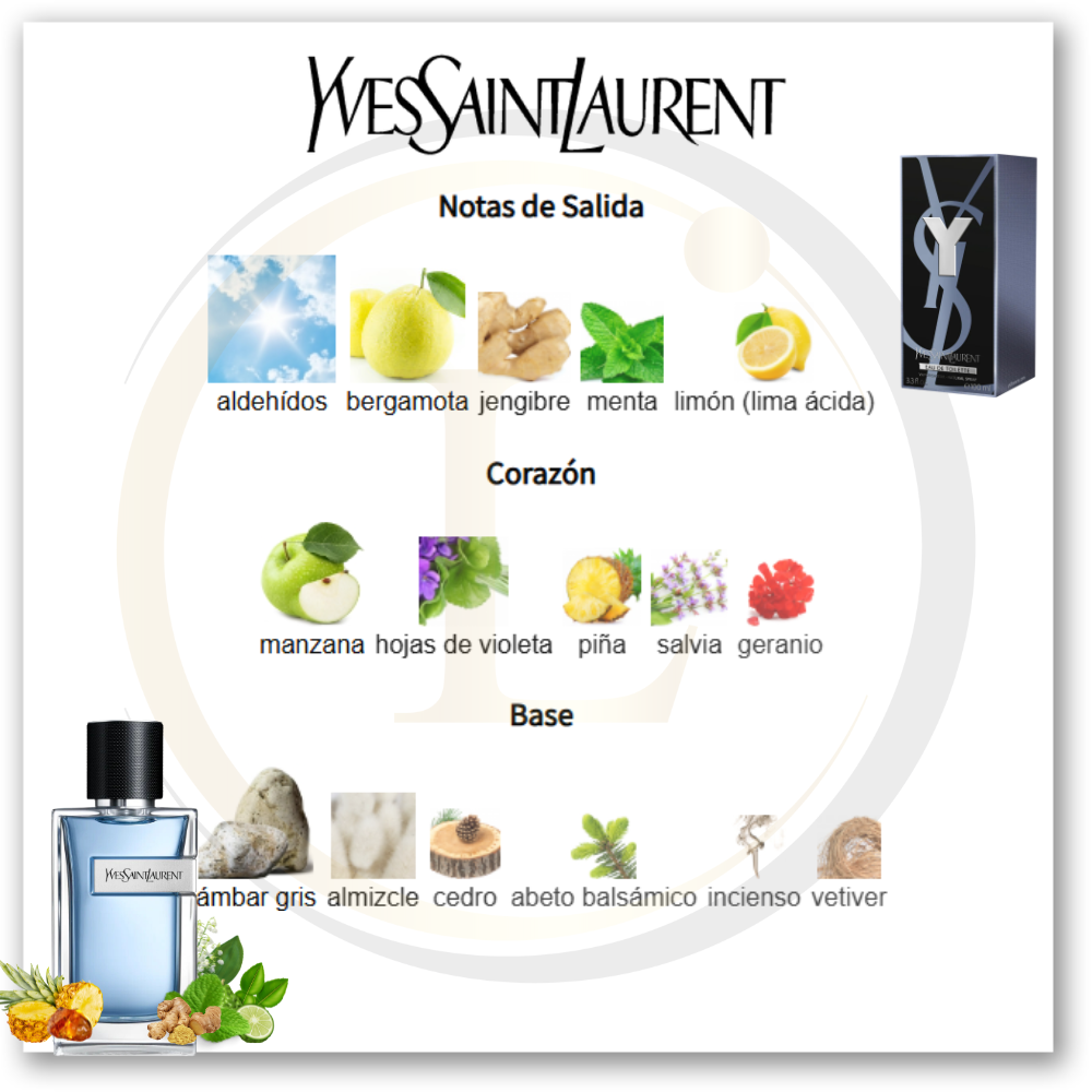 Yves Saint Laurent Y 3.3 Oz EDT (New UPC) - Imagen 3