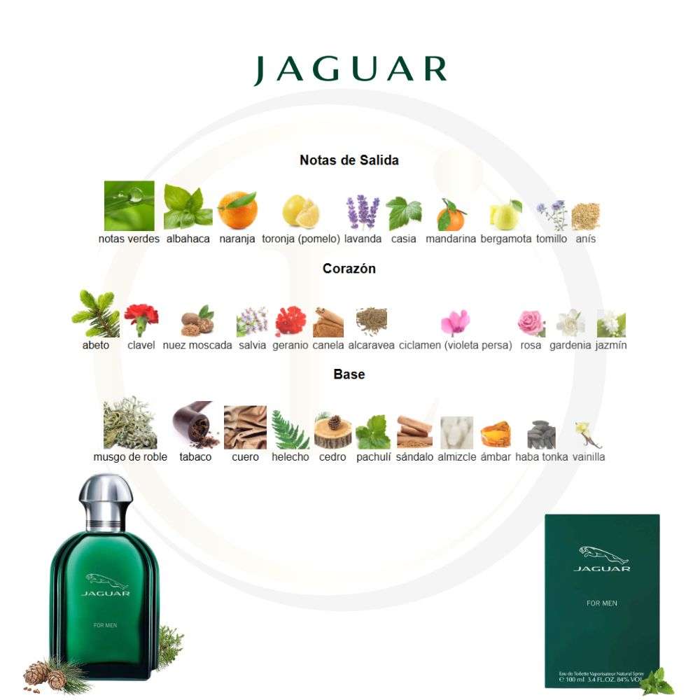 Jaguar for men 3.4 EDT Sp Men - Imagen 3
